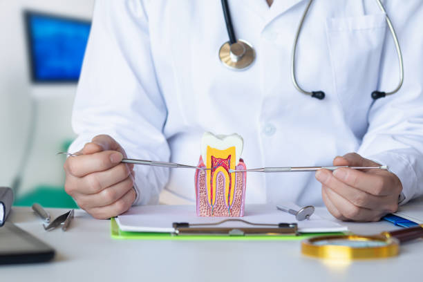 Best Root Canal Emergency Dentist  in Cape Neddick, ME